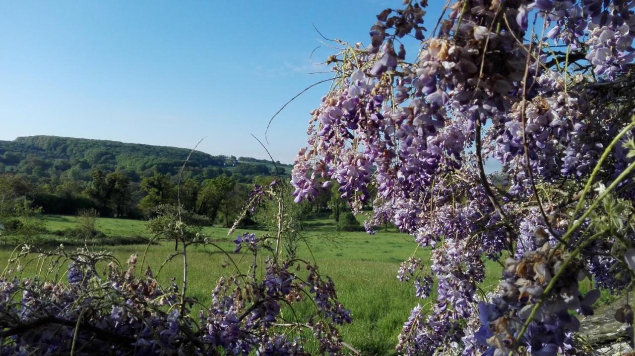 Le Temps Serein Vabre-Tizac Exteriör bild