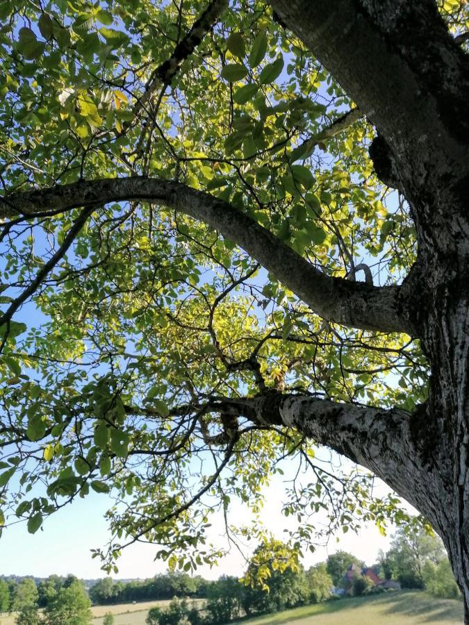 Le Temps Serein Vabre-Tizac Exteriör bild