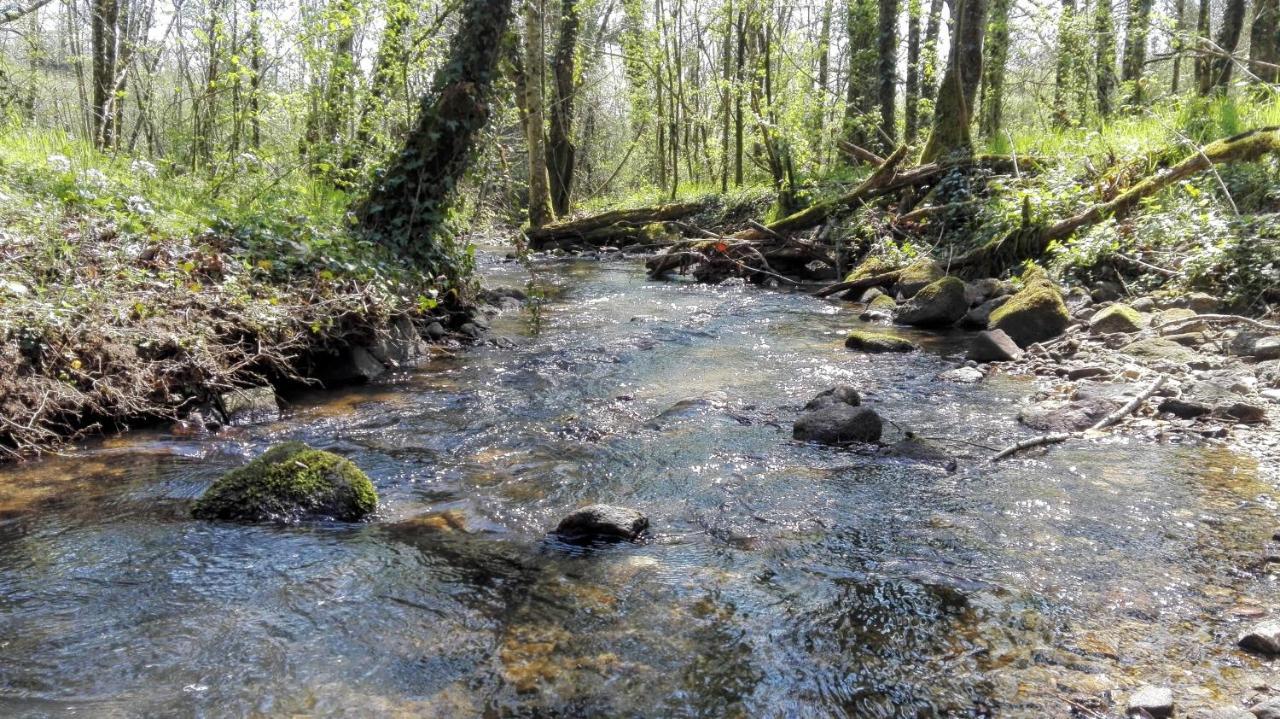 Le Temps Serein Vabre-Tizac Exteriör bild